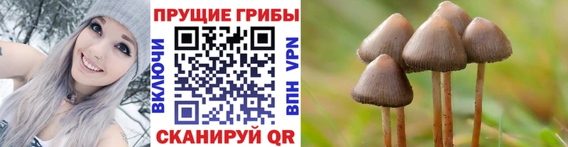 Галлюциногенные грибы ЛСД  Тайшет 